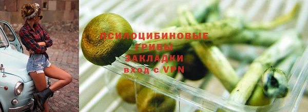 гидропоника Алзамай