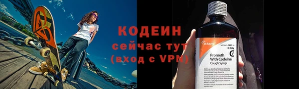 сатива Кулебаки