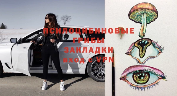эйфоретик Алексин