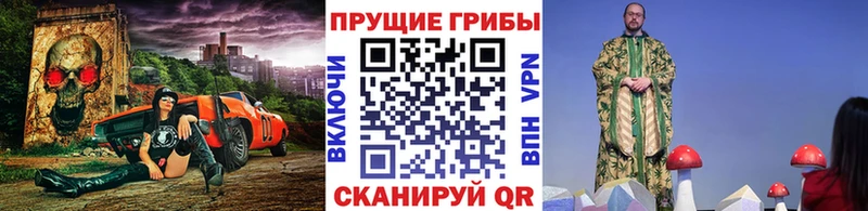 Псилоцибиновые грибы GOLDEN TEACHER  Сочи 