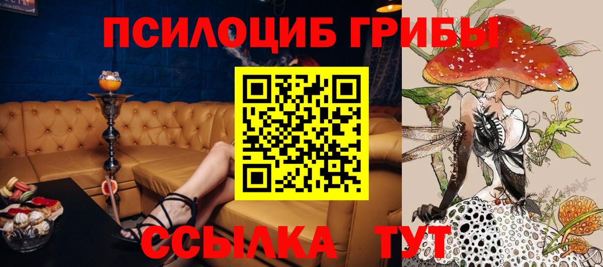 Псилоцибиновые грибы Psilocybine cubensis Сочи