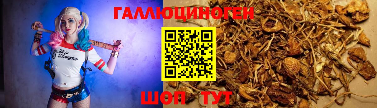 Галлюциногенные грибы Magic Shrooms  Вход с VPN  Сочи 